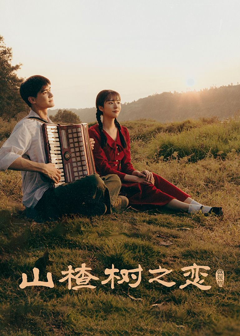 山楂树之恋(全集)