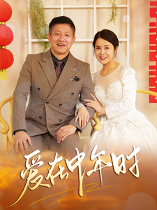 爱在中年时 第01-20集