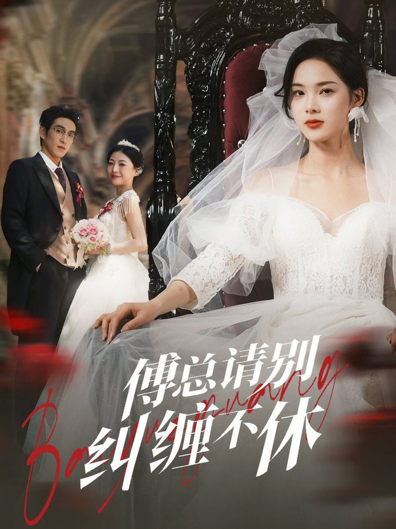 傅总请别纠缠不休 第01-30集