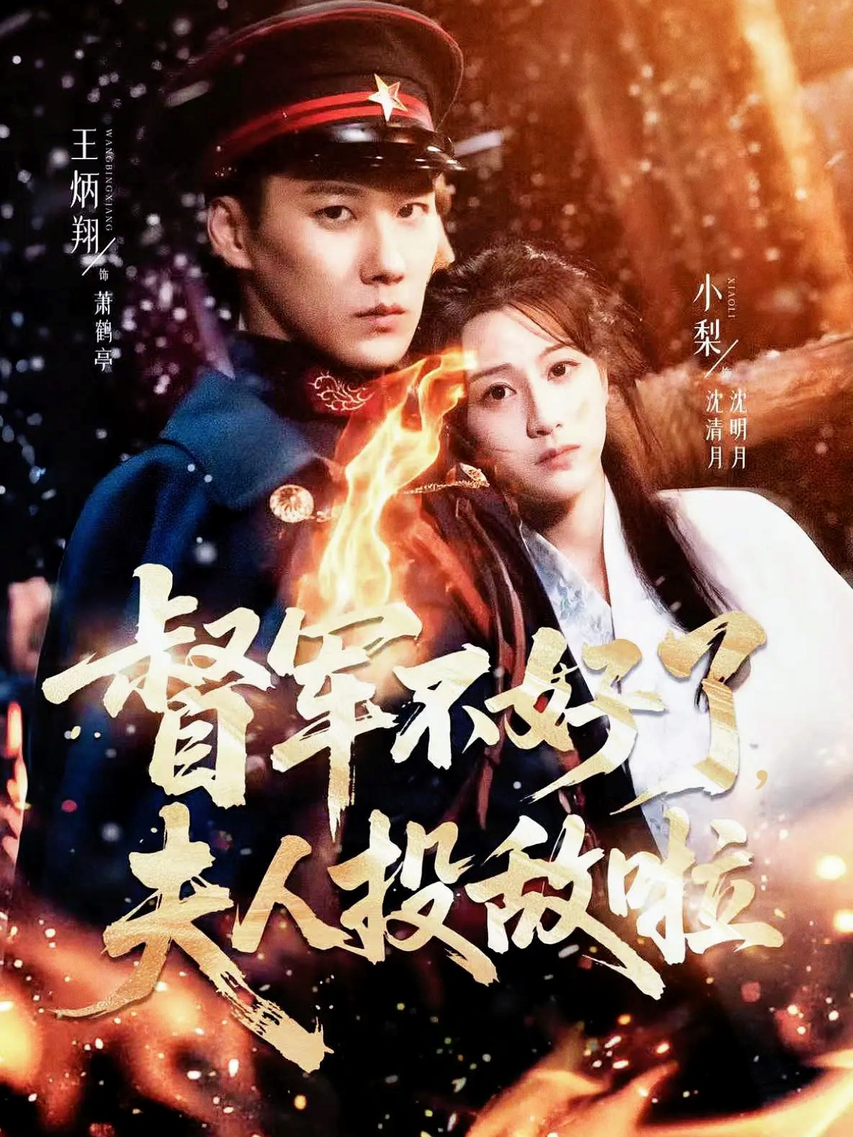 督军不好了，夫人投敌啦(全集)